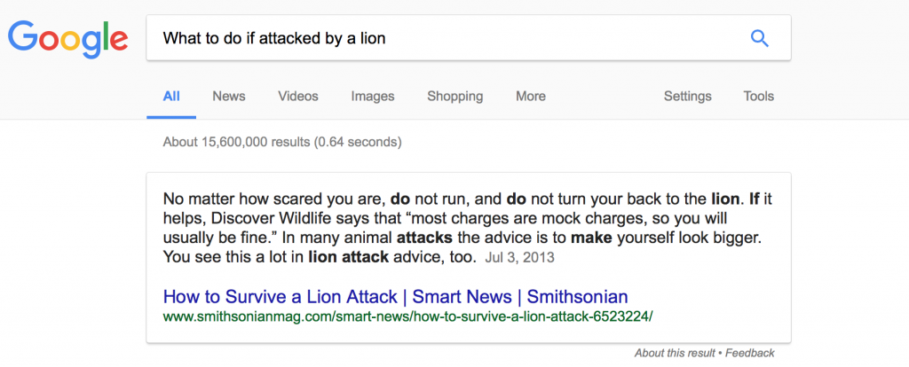 what-to-do-if-attacked-by-a-lion