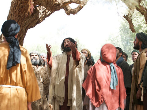 Jesus reaches out to Zacchaeus