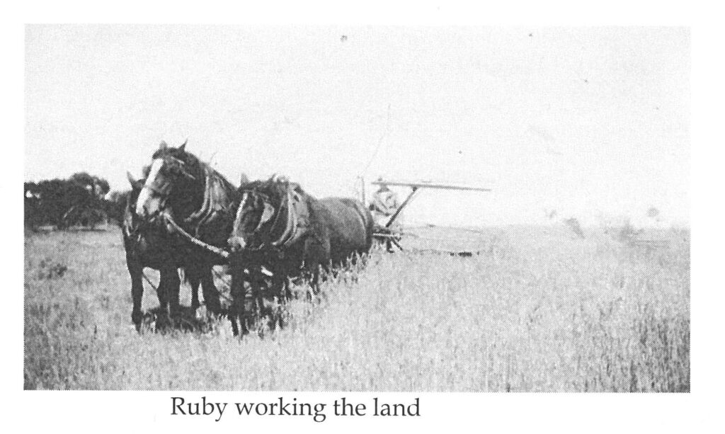 My Grandmother, Ruby McCormack, harvesting on their family farm in the Wimmera, Victoria.