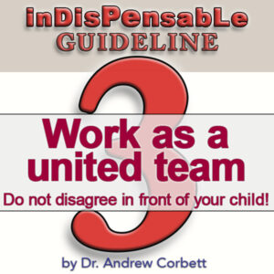 Indispensable guideline #3 for new parents, Work as a United Team - Do not disagree in front of your children!