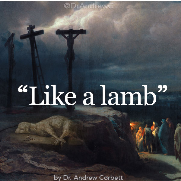 “Like a lamb”
